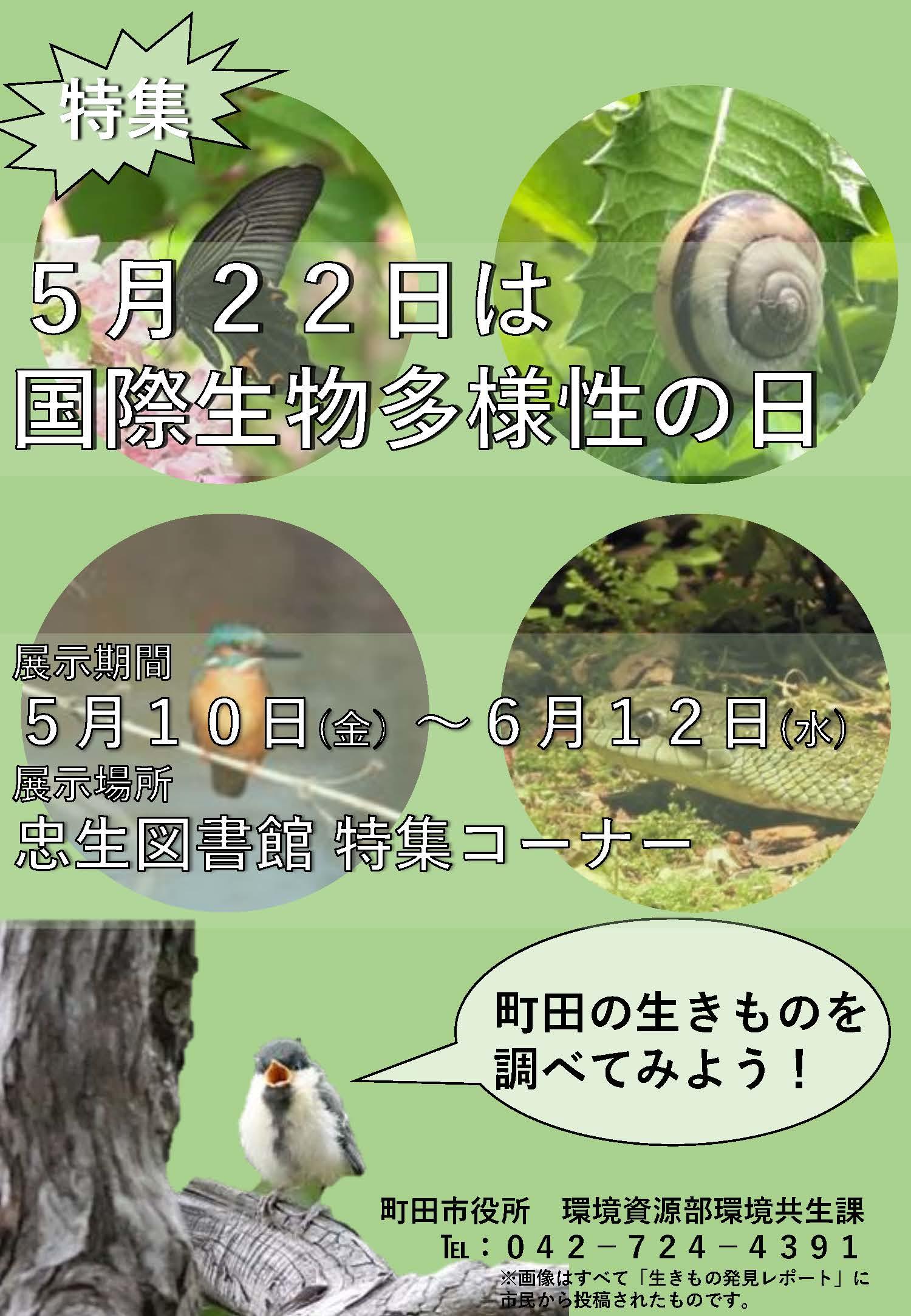 画像:忠生図書館ポスター